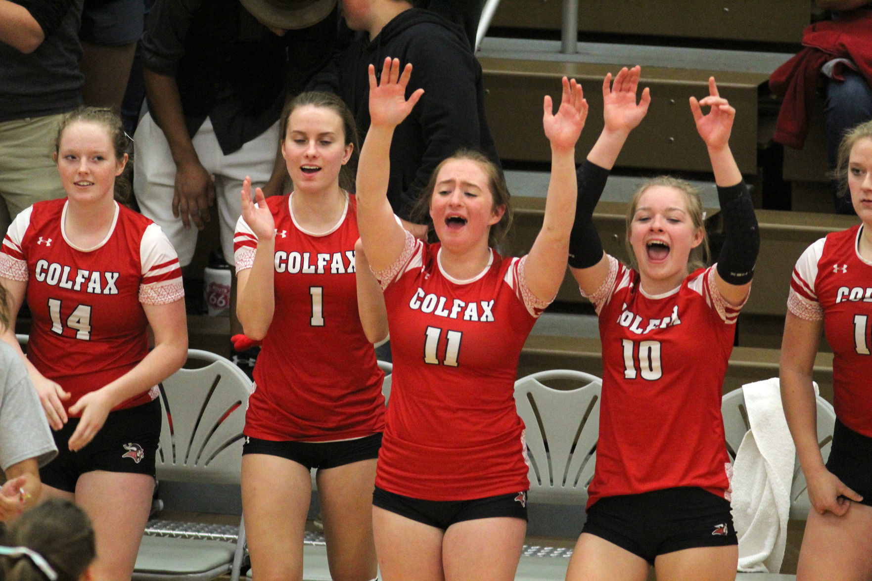 Cameron at Colfax volleyball regionals 10-24-19